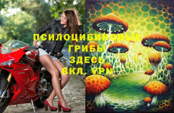 ALPHA PVP Нязепетровск