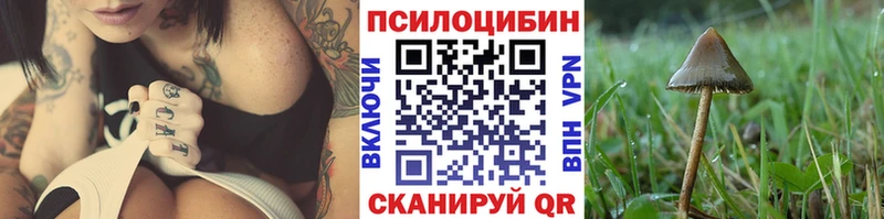 Псилоцибиновые грибы ЛСД  купить наркотики цена  Хилок 